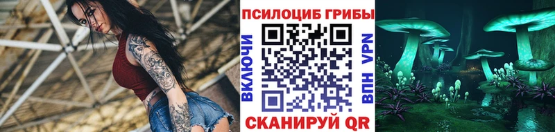 Купить где  Краснообск  Галлюциногенные грибы Magic Shrooms 